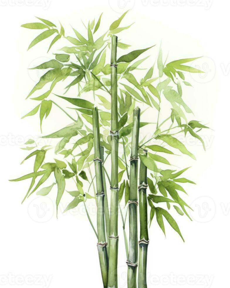 AI generated Watercolor bamboo clipart isolated on white background. AI Generated photo