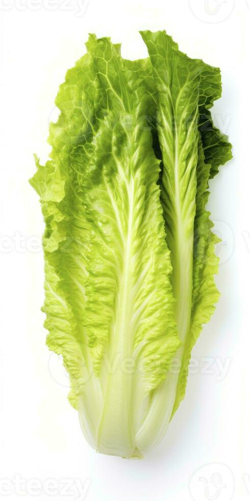 AI generated Lettuce isolated on white background. AI Generated photo