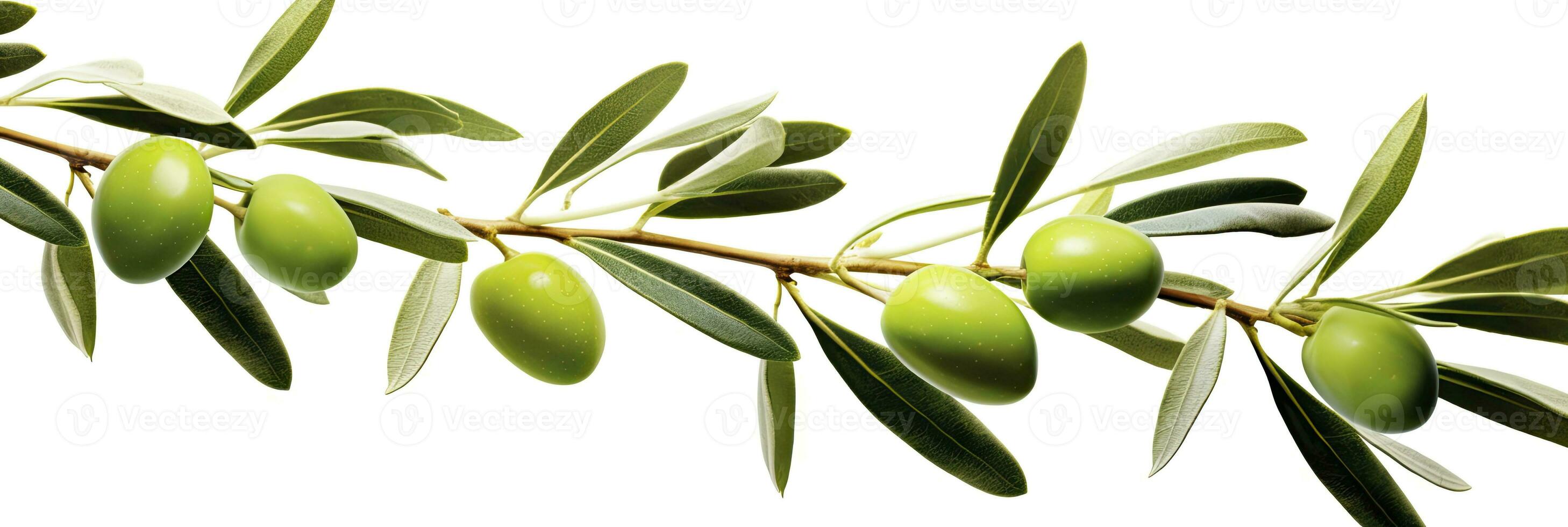 AI generated Olive tree branch, green olives and leaves on white background. AI Generated. photo