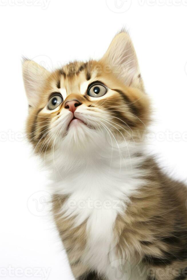 AI generated Playful funny kitten looking up isolated on a white background. AI Generated photo