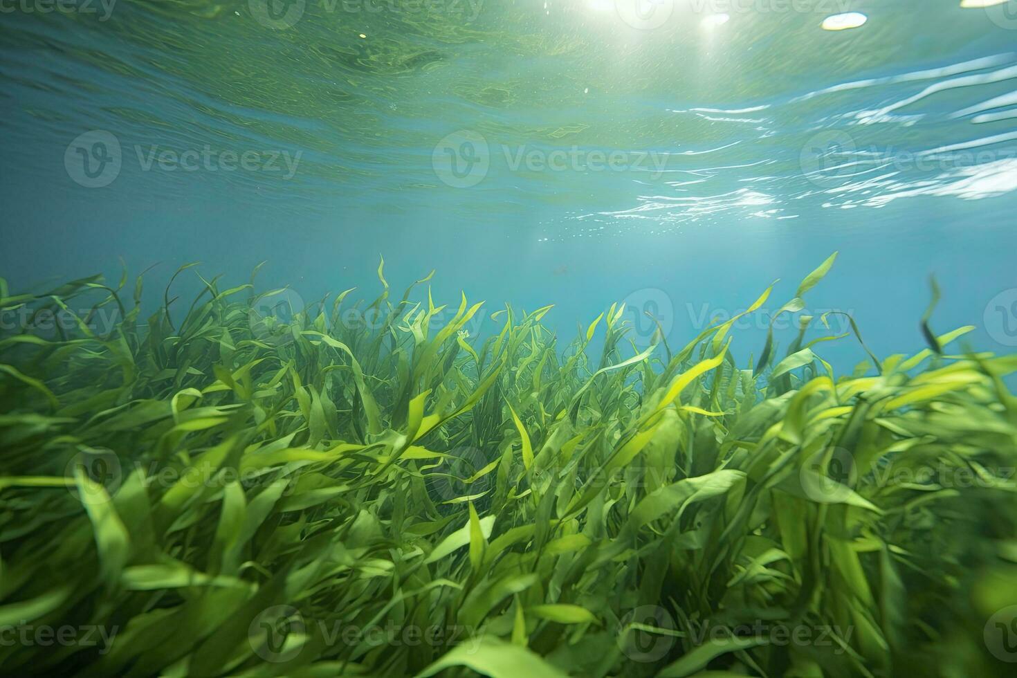 AI generated Underwater view of a group of seabed with green seagrass. AI Generated photo