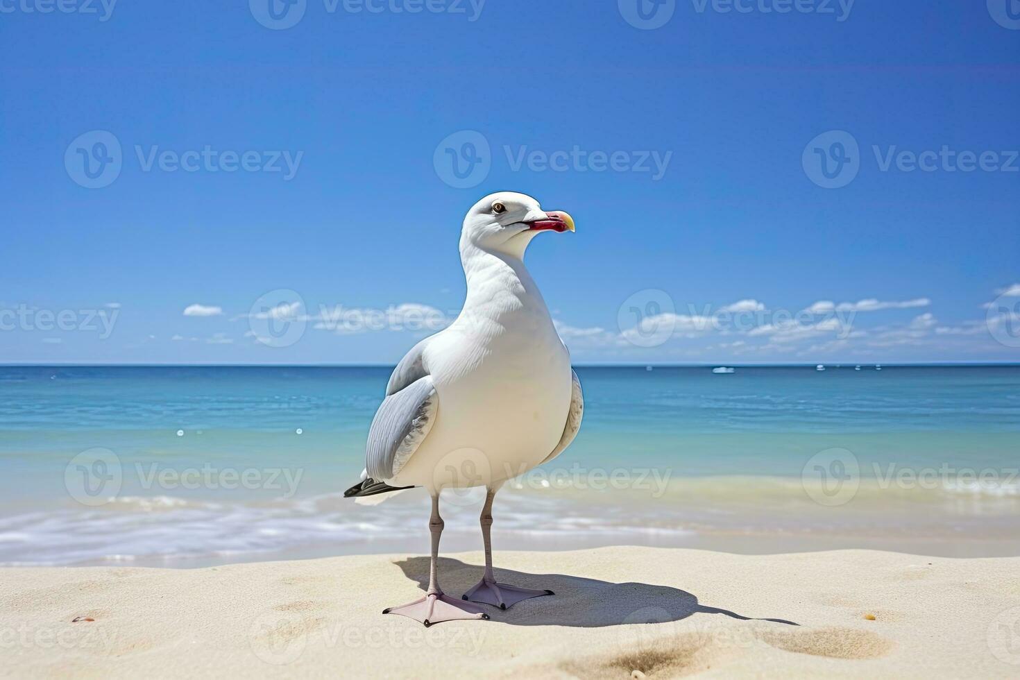 AI generated Seagull on the beach under blue sky. photo