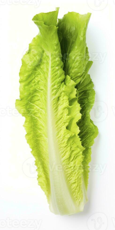 AI generated Lettuce isolated on white background. AI Generated photo