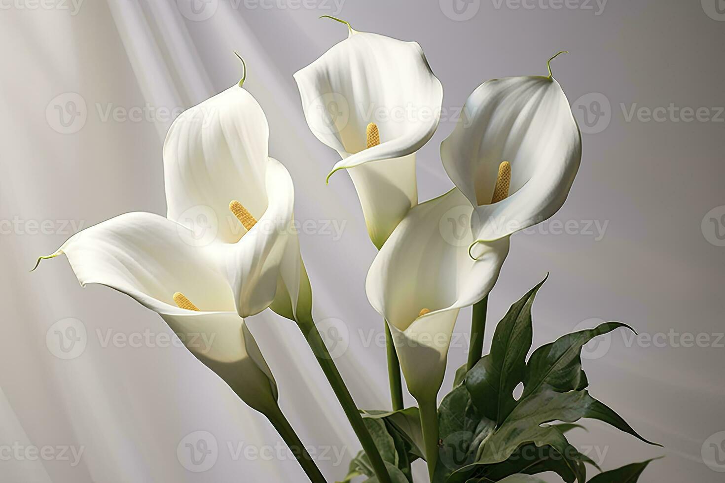 AI generated White wedding nature lily beauty blossom plant flower flora calla. AI Generated photo