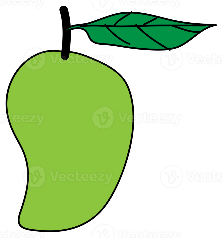 Mango cartoon illustration on transparent background. png