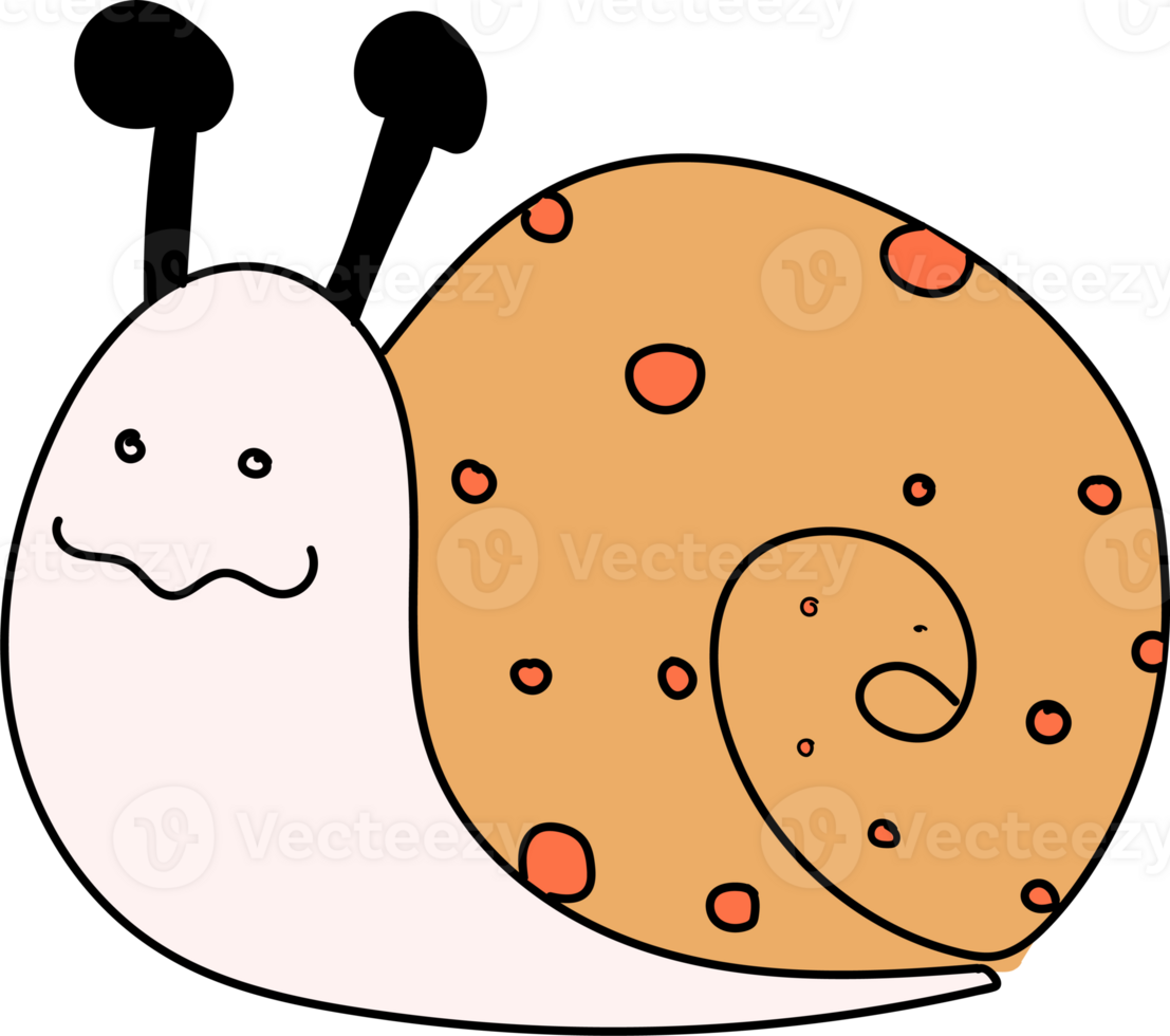 Hand drawn snail illustration on transparent background. png