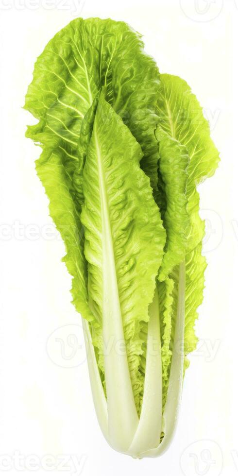 AI generated Lettuce isolated on white background. AI Generated photo