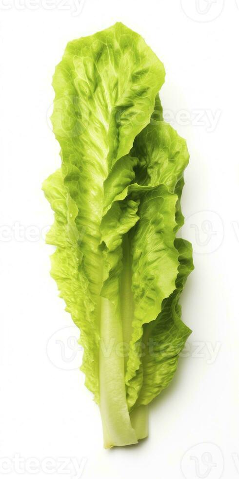 AI generated Lettuce isolated on white background. AI Generated photo