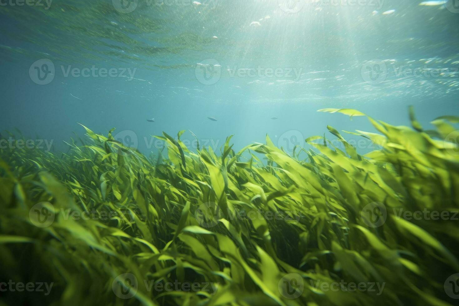 AI generated Underwater view of a group of seabed with green seagrass. AI Generated photo