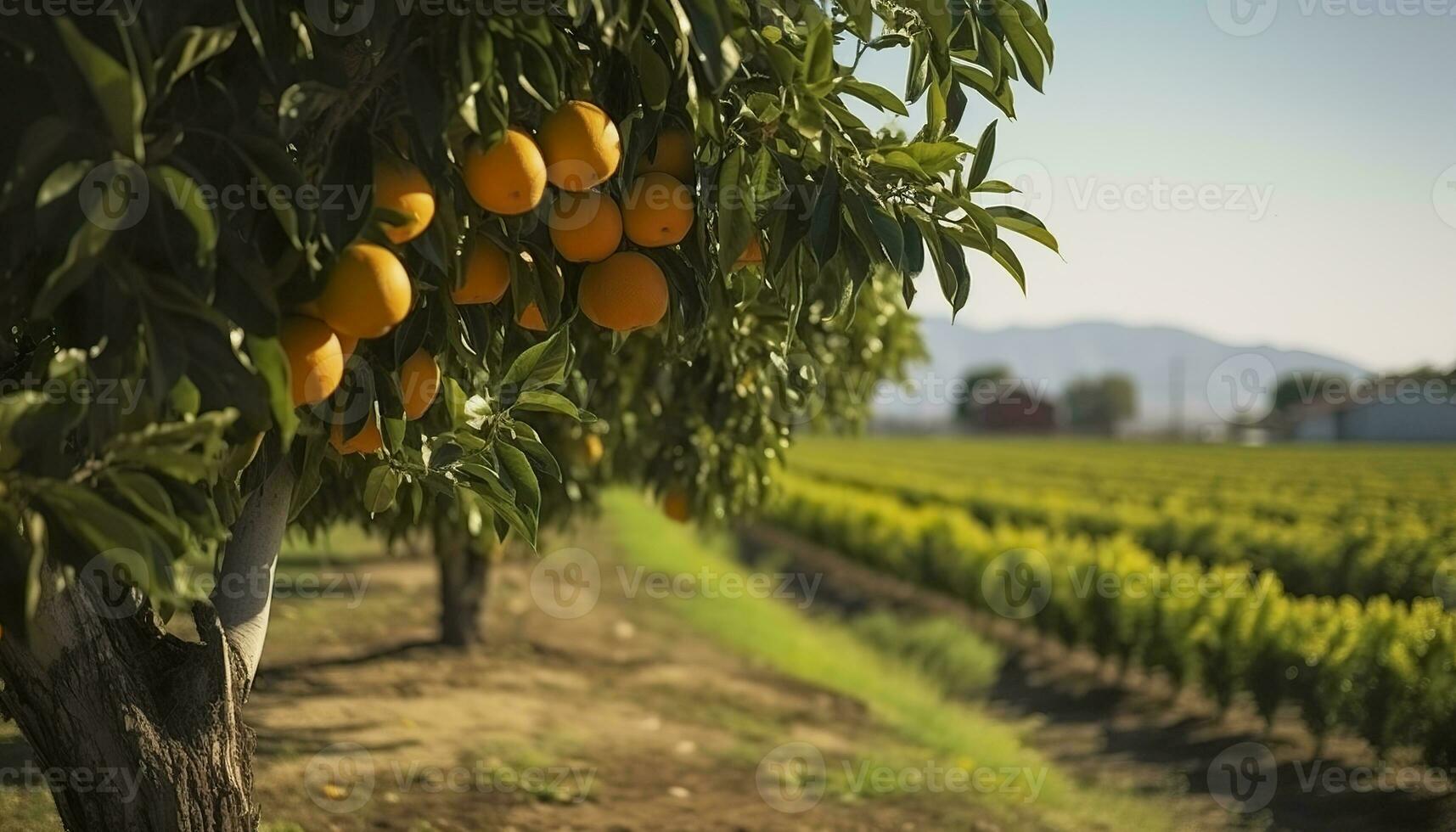 AI generated An orange tree is in the foreground with a farm field background. Generative AI photo