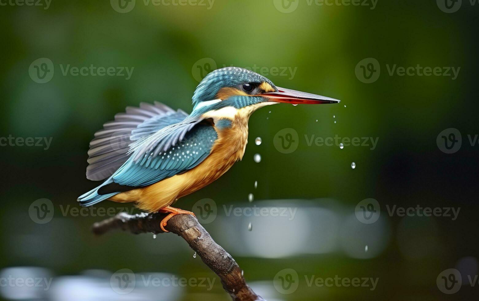 ai generado el común martín pescador humedales pájaro de colores plumas desde diferente aves. generativo ai foto