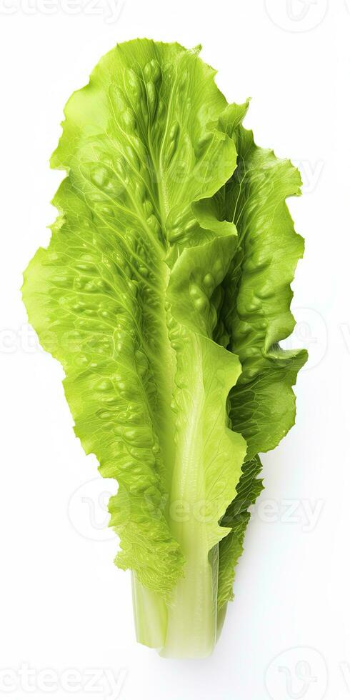 AI generated Lettuce isolated on white background. AI Generated photo