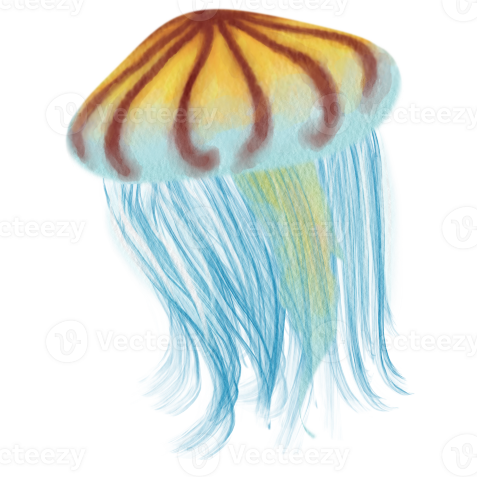 yellow box jellyfish 35971155 PNG