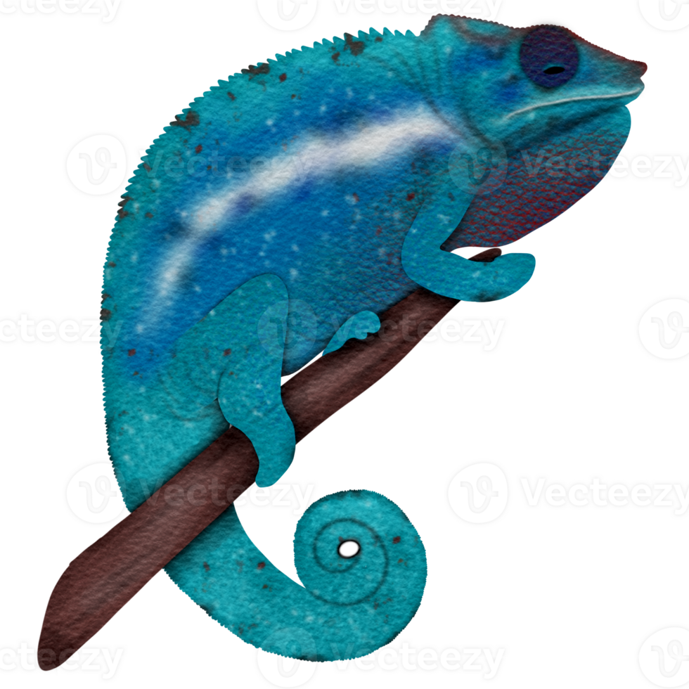 Blue chameleon perched on a branch png