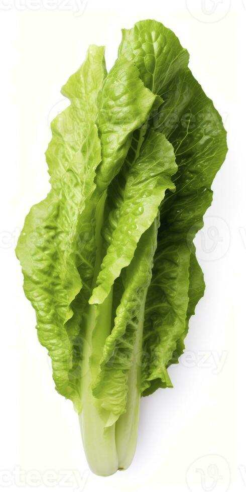 AI generated Lettuce isolated on white background. AI Generated photo