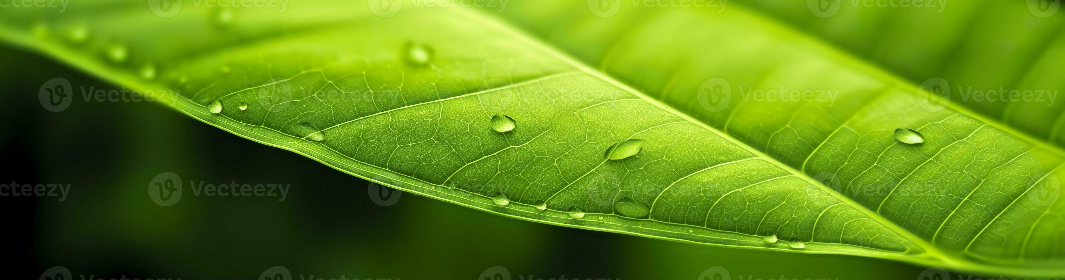 AI generated Green leaf nature background. AI Generated photo