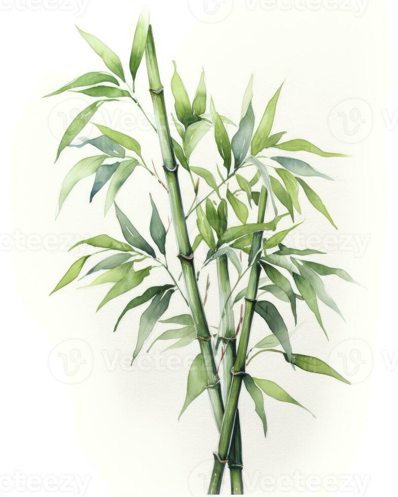 AI generated Watercolor bamboo clipart isolated on white background. AI Generated photo