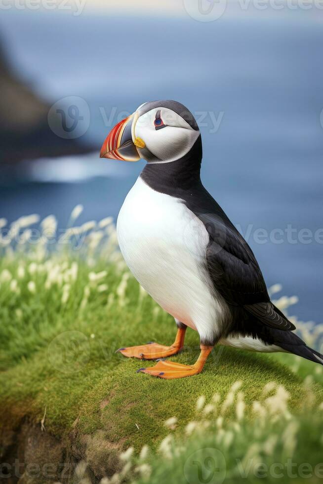 AI generated Puffin bird on a green grass patch. AI Generated photo