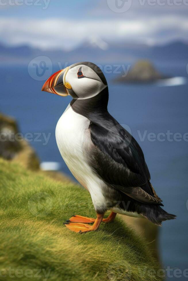 AI generated Puffin bird on a green grass patch. AI Generated photo