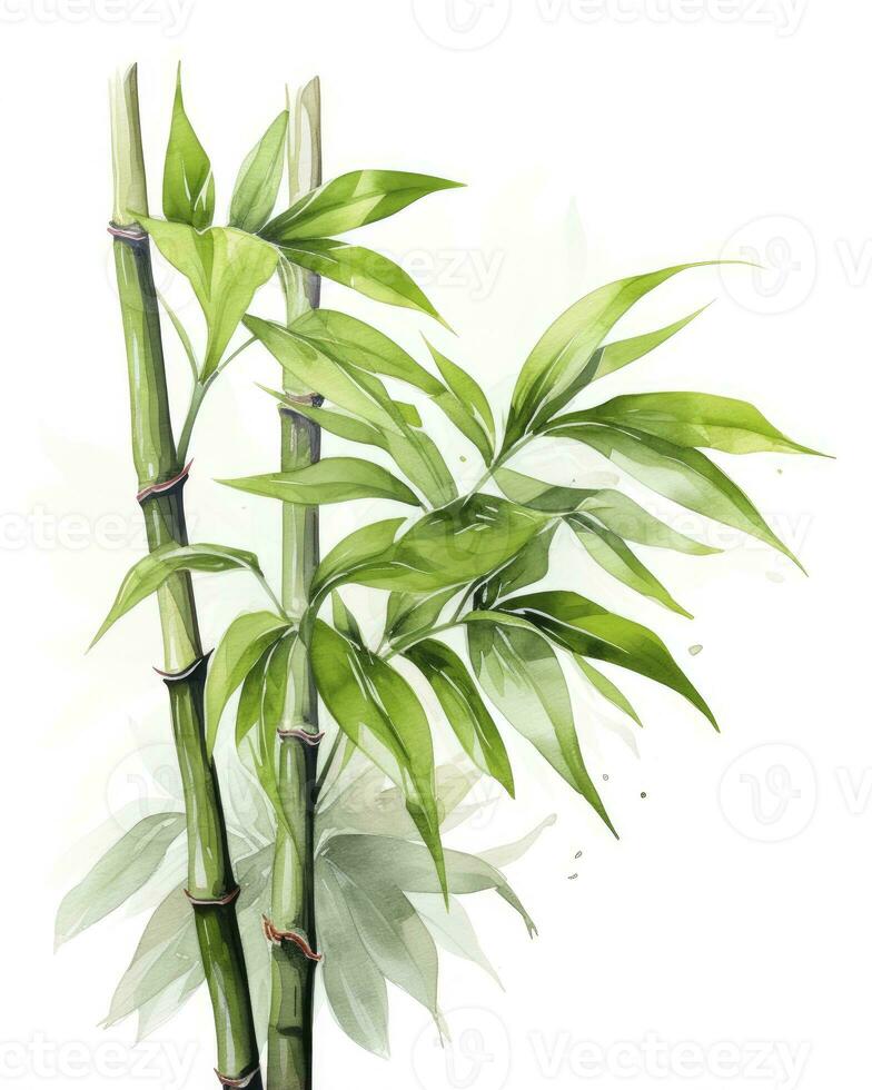 AI generated Watercolor bamboo clipart isolated on white background. AI Generated photo