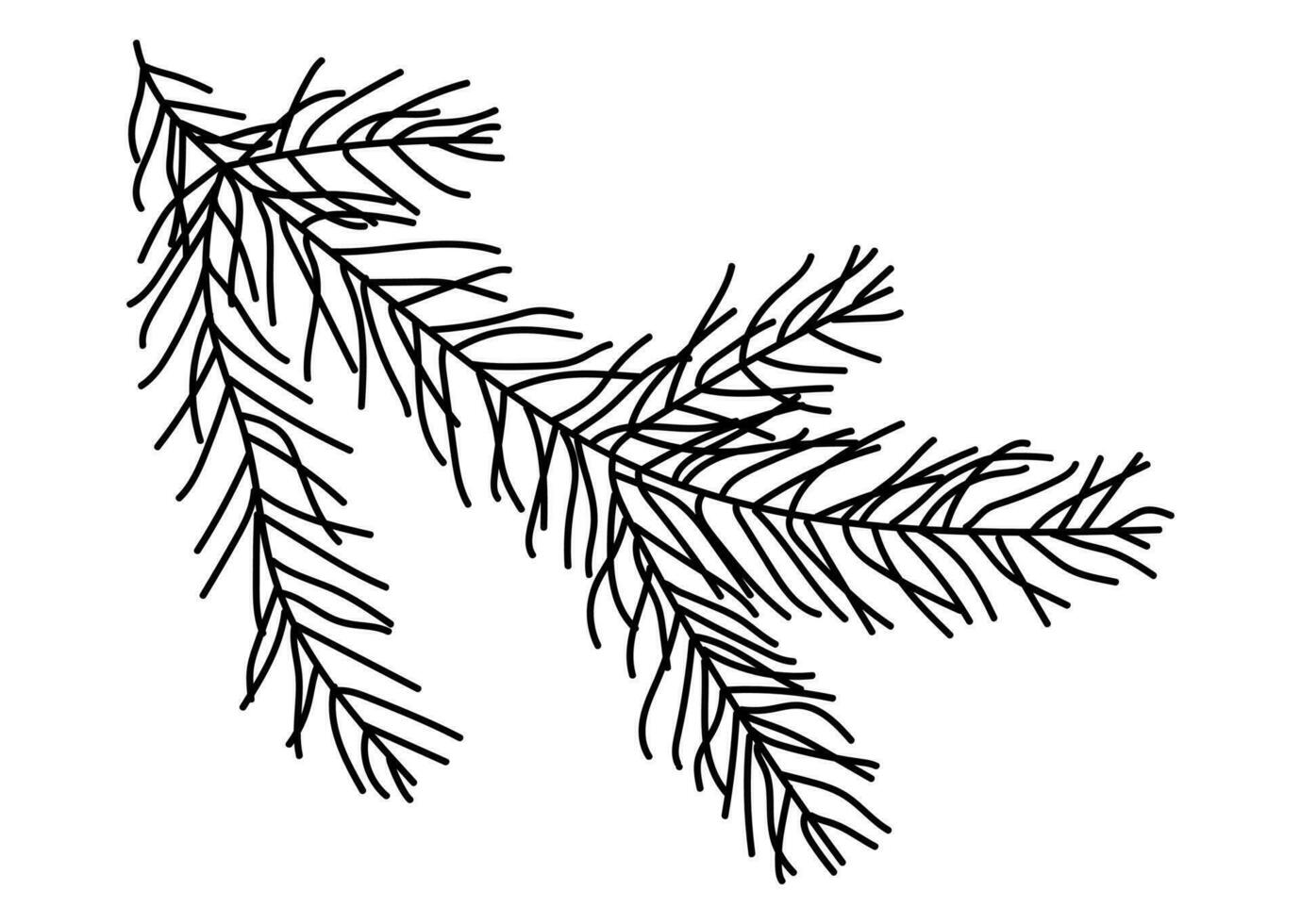 Christmas tree branch drawn by hand in doodle style. vector