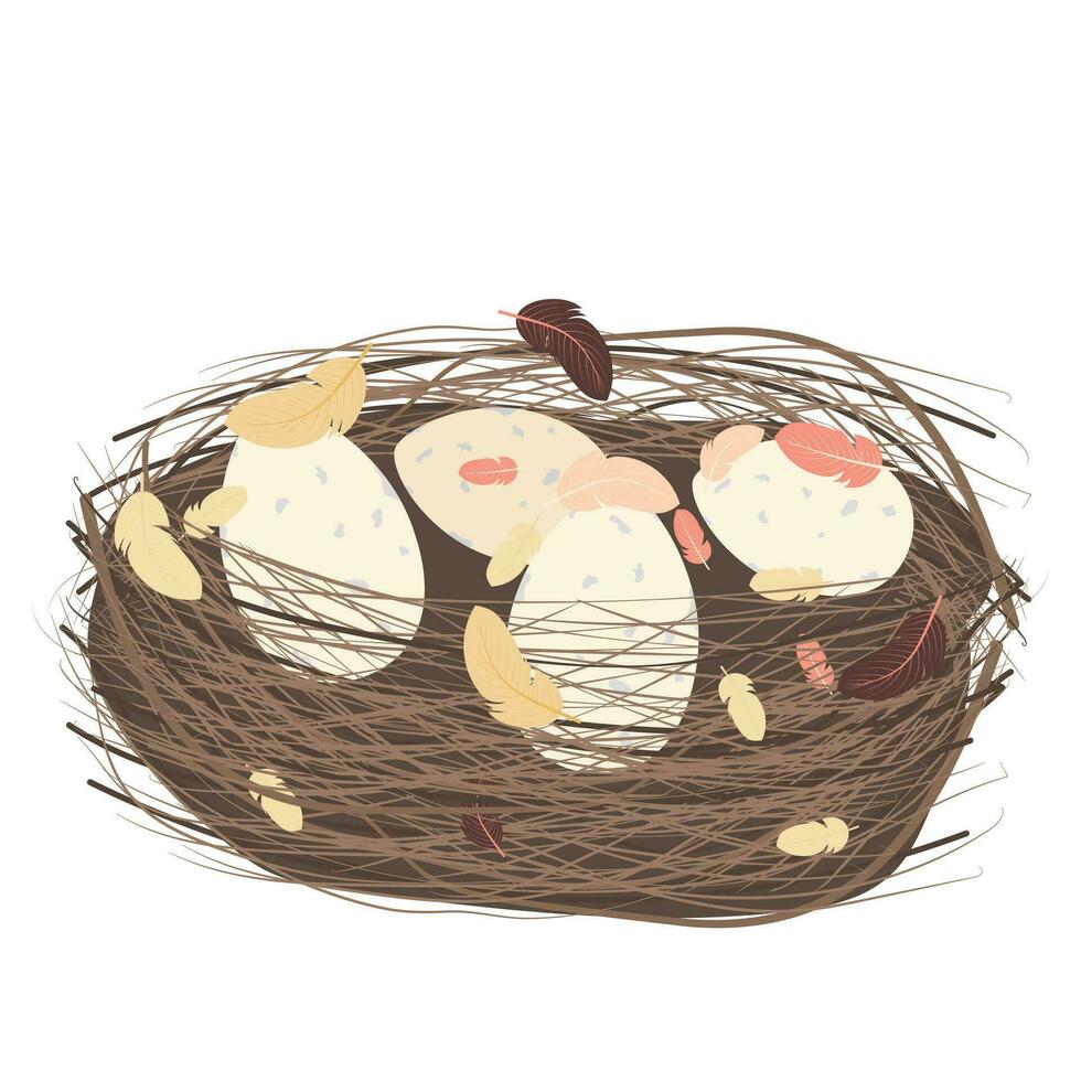 Bird's nest with 4 eggs, branches and feathers. Vector illustration isolated on white background.