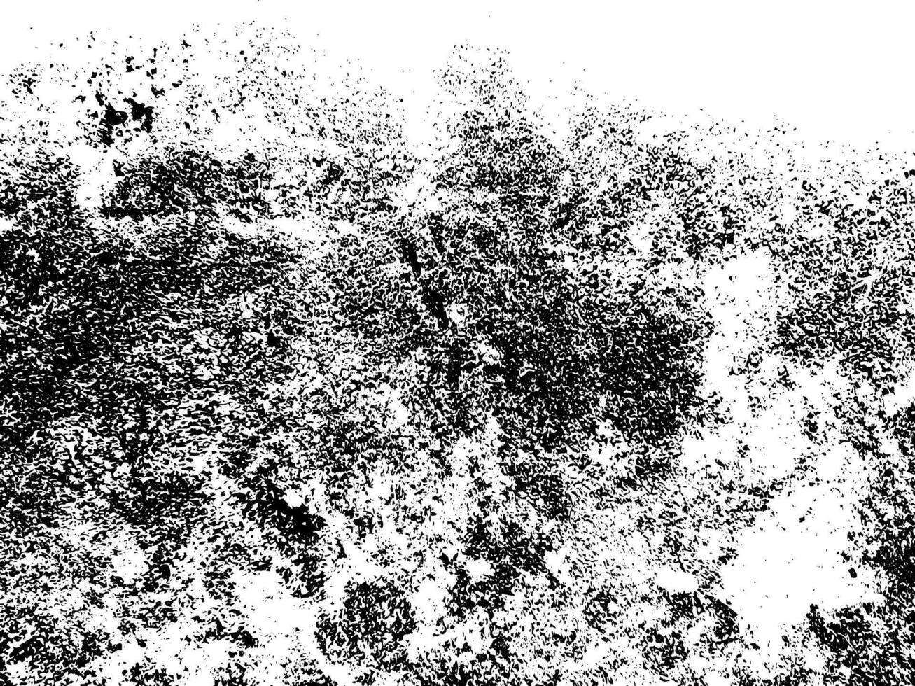 grunge urbano fondo.textura vector.polvo cubrir angustia grano vector