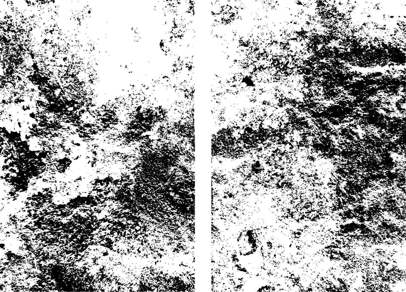 Grunge background black and white. Texture vector