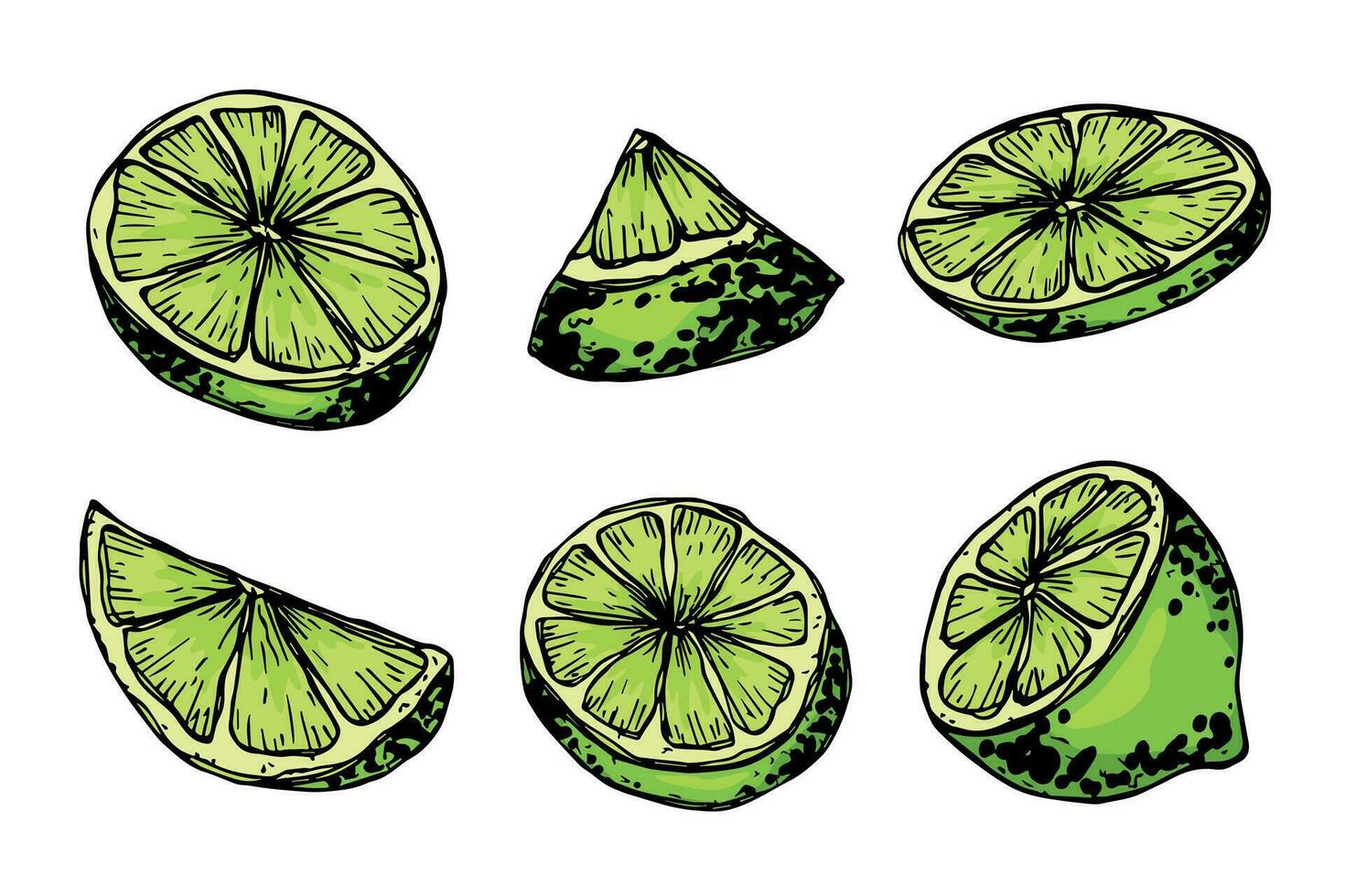 Vector lime clipart. Hand drawn citrus set. Fruit illustration. For print, web, design, decor