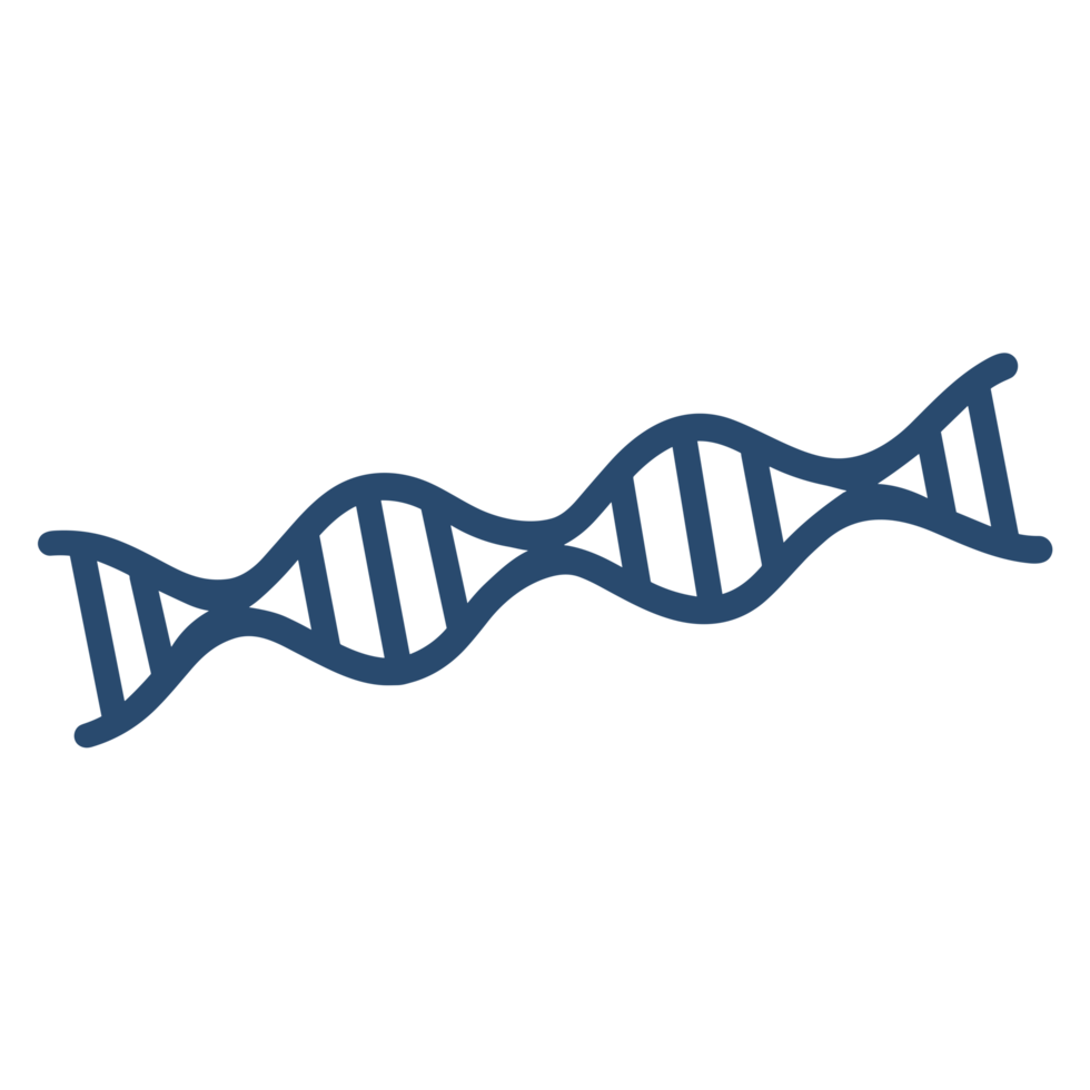 illustrazione di dna struttura png