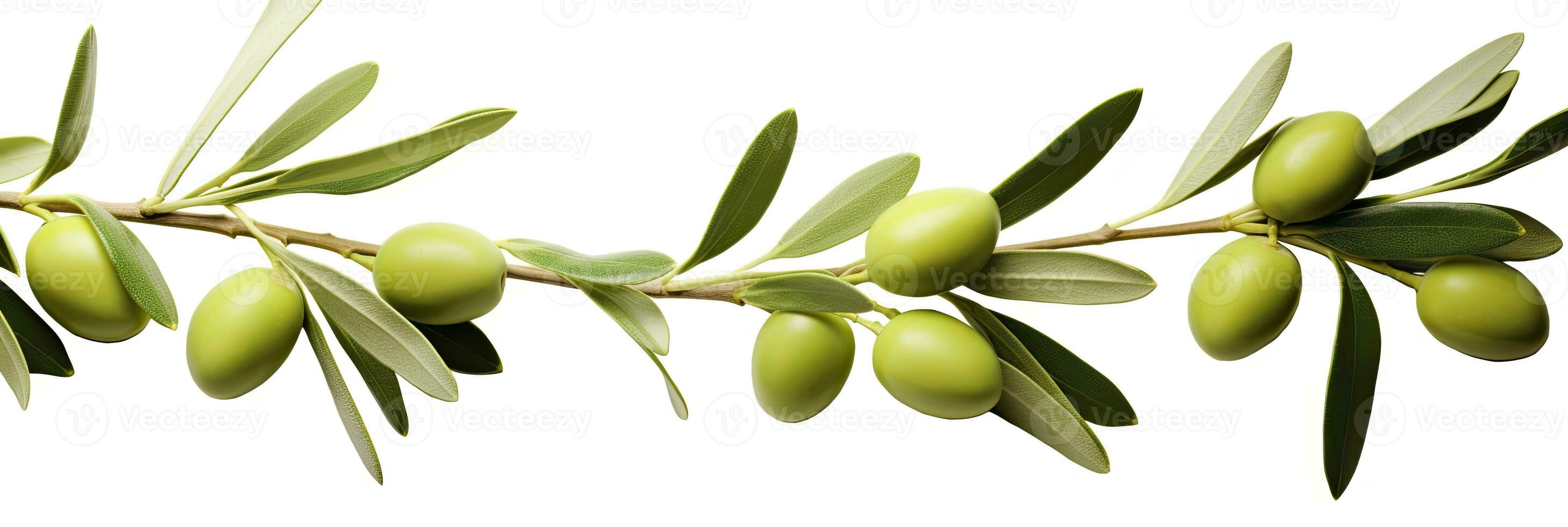 AI generated Olive tree branch, green olives and leaves on white background. AI Generated. photo