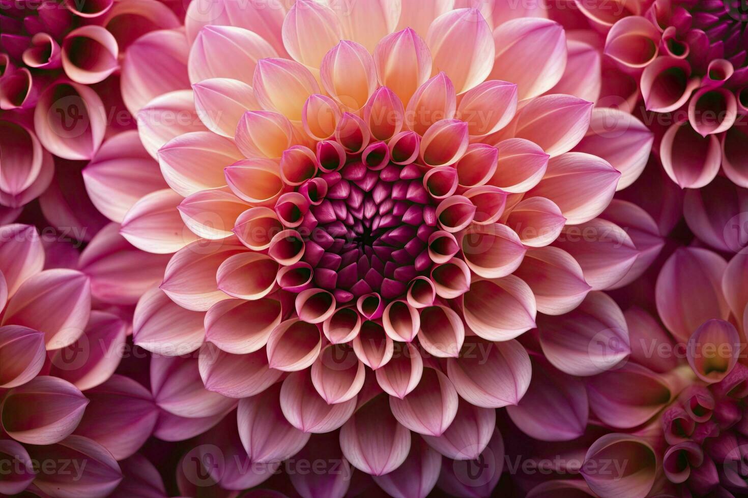 AI generated Dahlia flower background.  AI Generated. photo