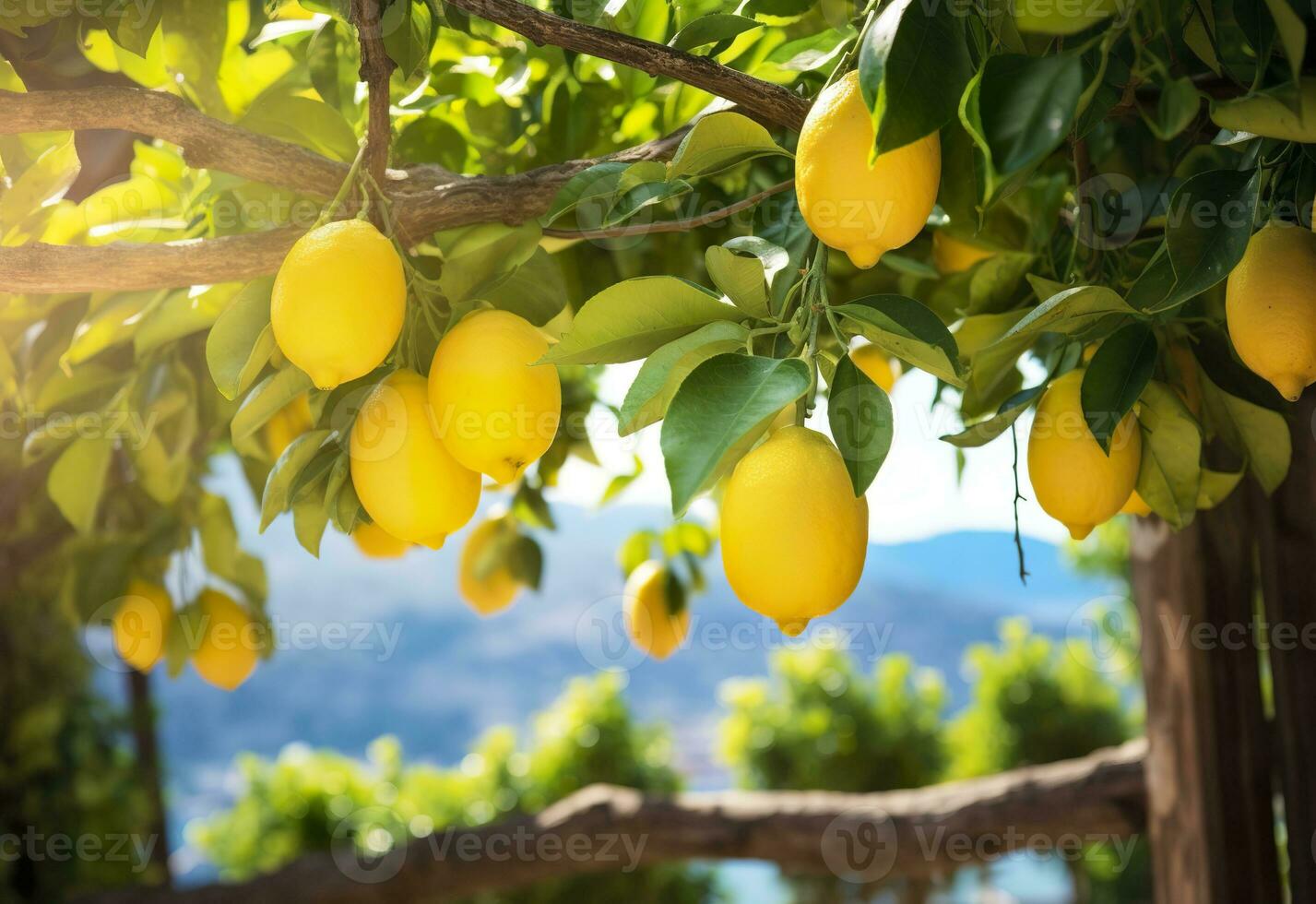 AI generated Lemons growing in a sunny garden on Amalfi coast in Italy. AI Generated photo