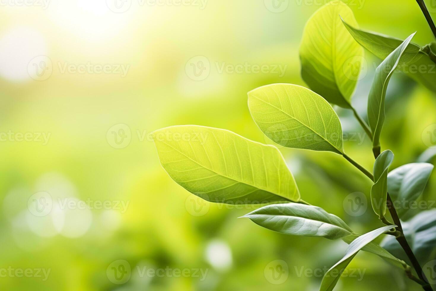 AI generated Nature of green leaf in a garden in summer under sunlight. Spring background. AI Generated photo