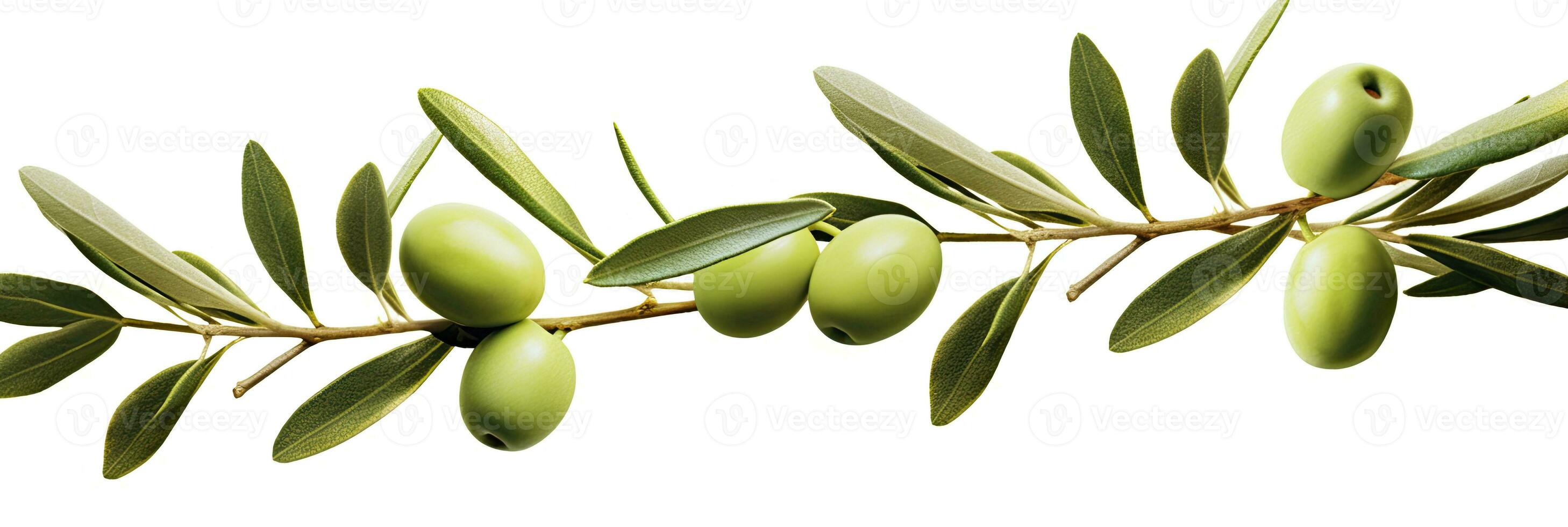 AI generated Olive tree branch, green olives and leaves on white background. AI Generated. photo