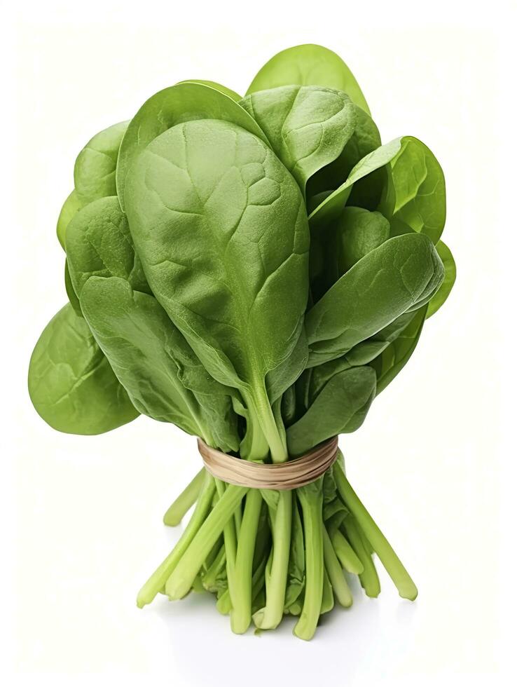AI generated Bunch of spinach isolated on white background. AI Generated photo