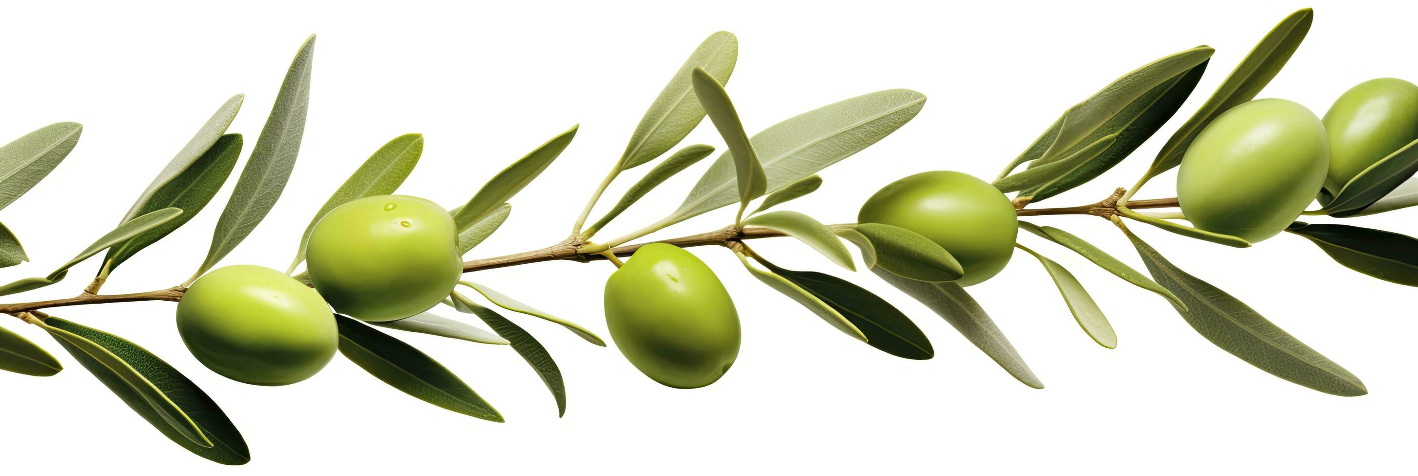 AI generated Olive tree branch, green olives and leaves on white background. AI Generated. photo