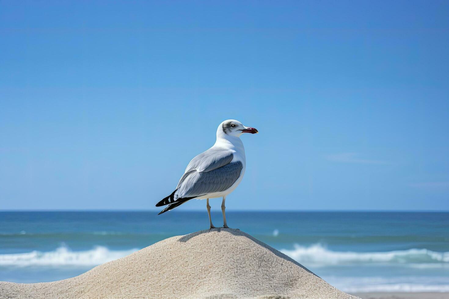 ai generado Gaviota en el playa debajo azul cielo. foto