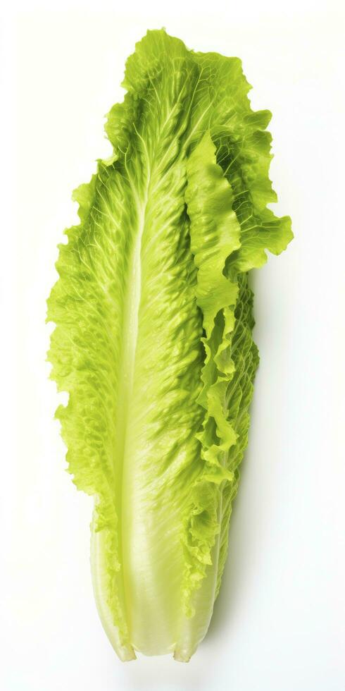 AI generated Lettuce isolated on white background. AI Generated photo