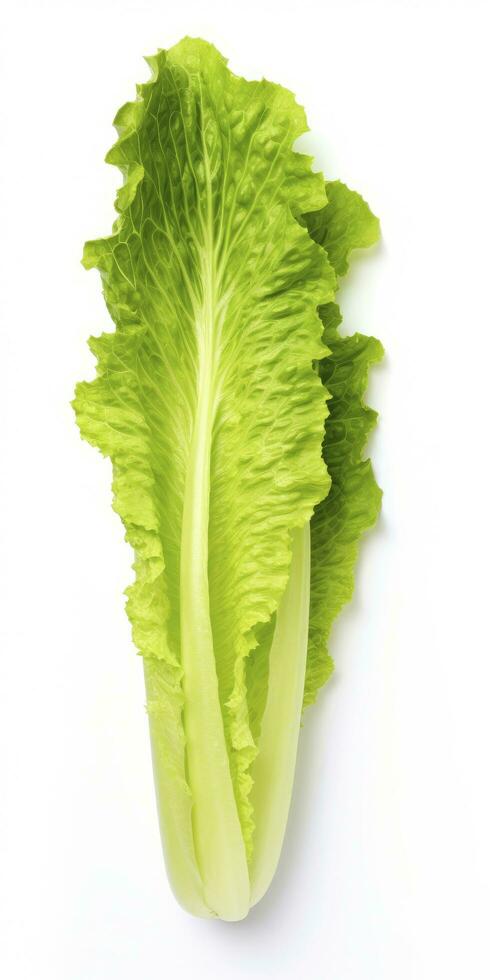 AI generated Lettuce isolated on white background. AI Generated photo