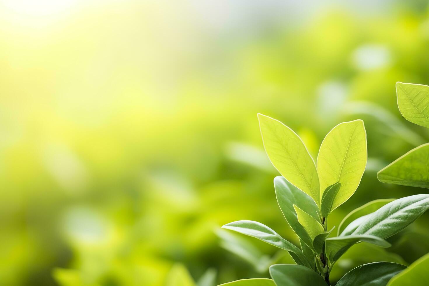 AI generated Nature of green leaf in a garden in summer under sunlight. Spring background. AI Generated photo