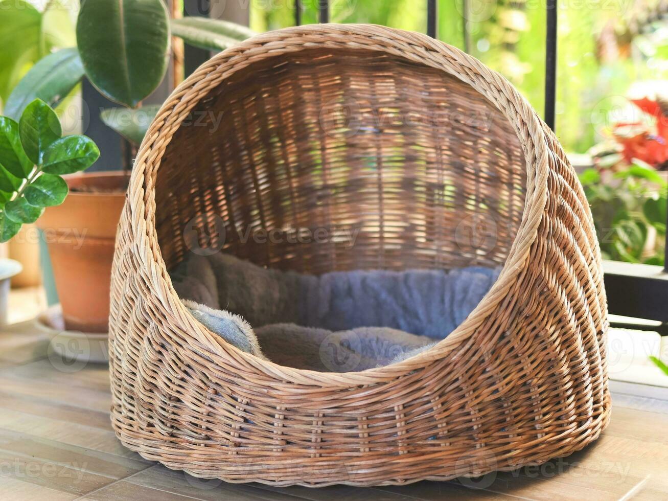 empty wicker or rattan pet house with grey cushion in corridor with plant pots. photo