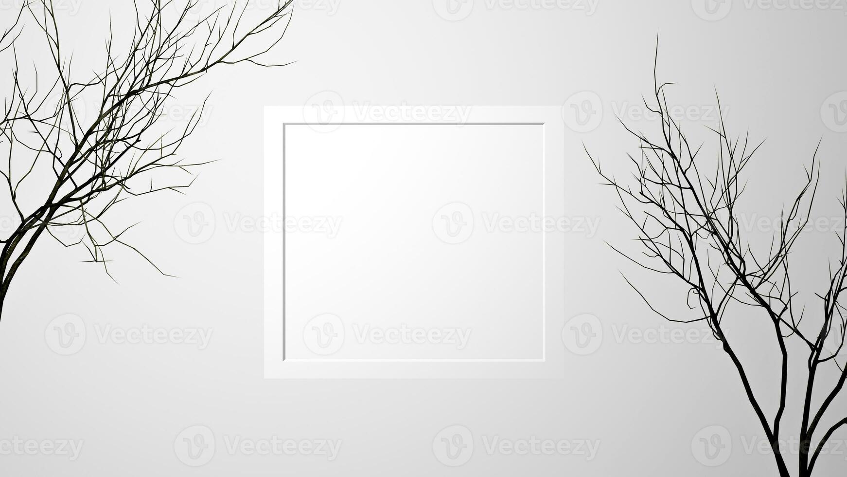 white blank frame and branches of a tree with white background photo