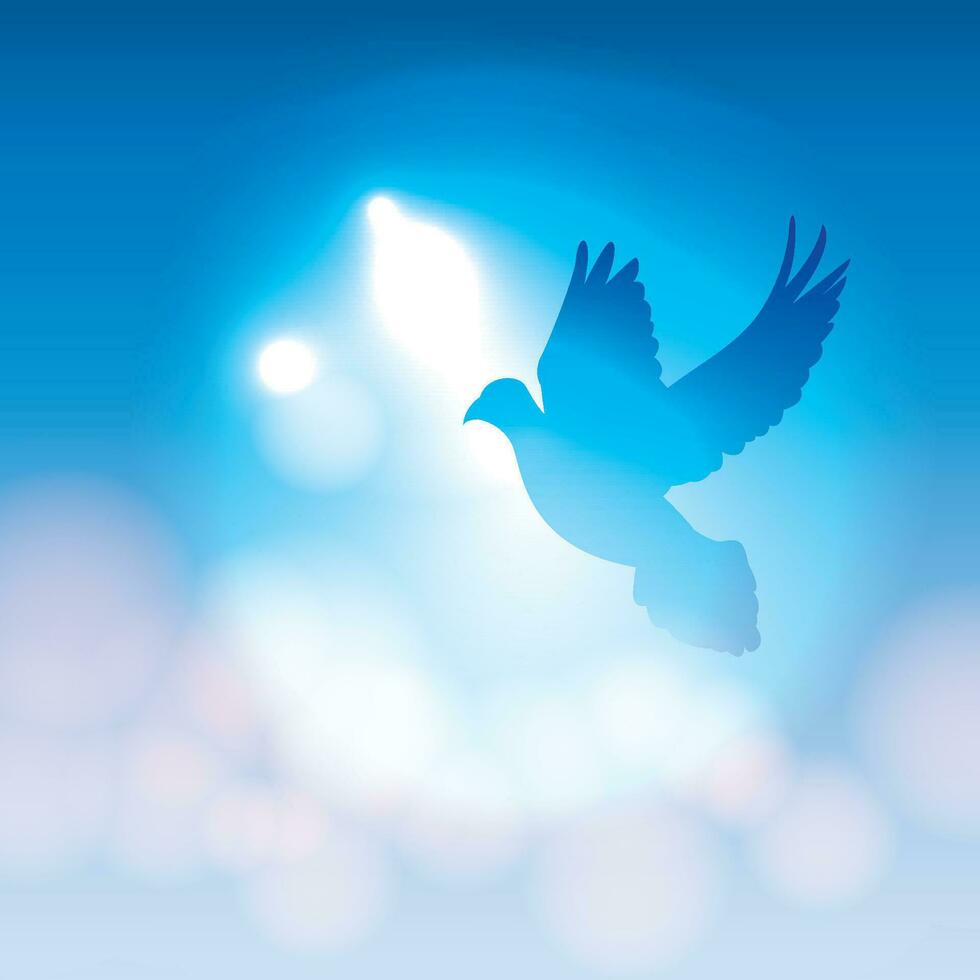 Illustrated Dove Silhouette and Soft Bokeh Lights vector