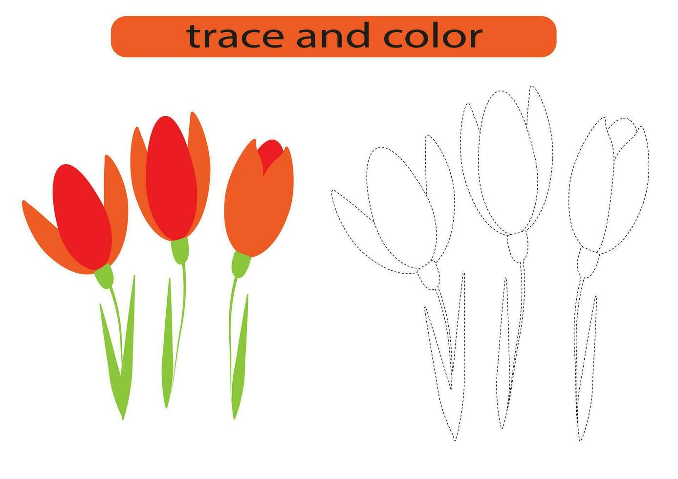 Trace and color the flowers. Coloring book for preschool children. Handwriting practice. vector