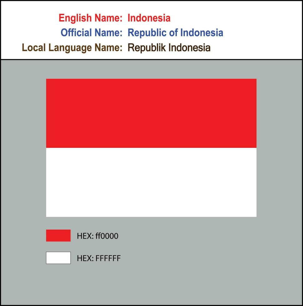 flag of Indonesia with HEX codes vector
