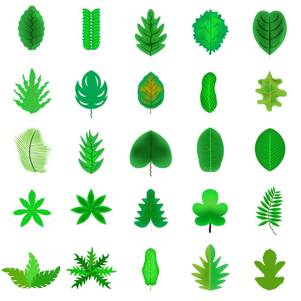 various green leaves on a white background vector