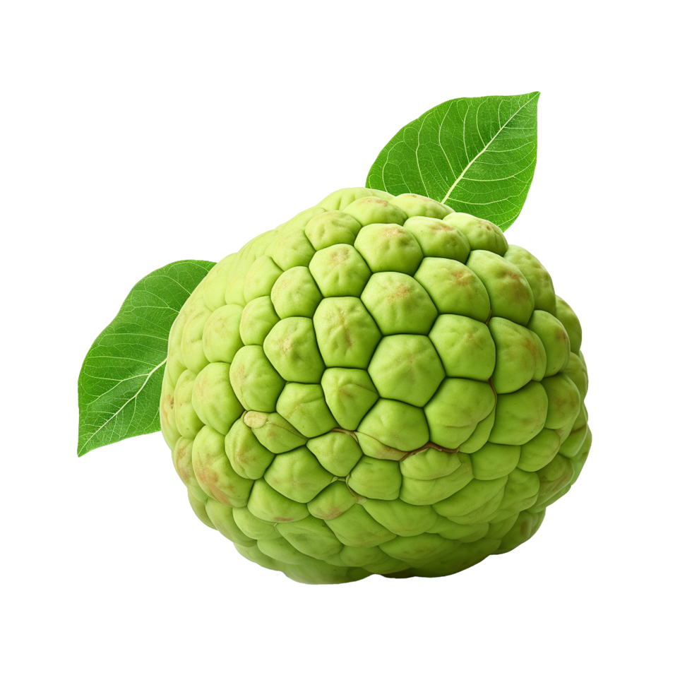 AI generated Sugar apple or custard apple png isolated on transparent background