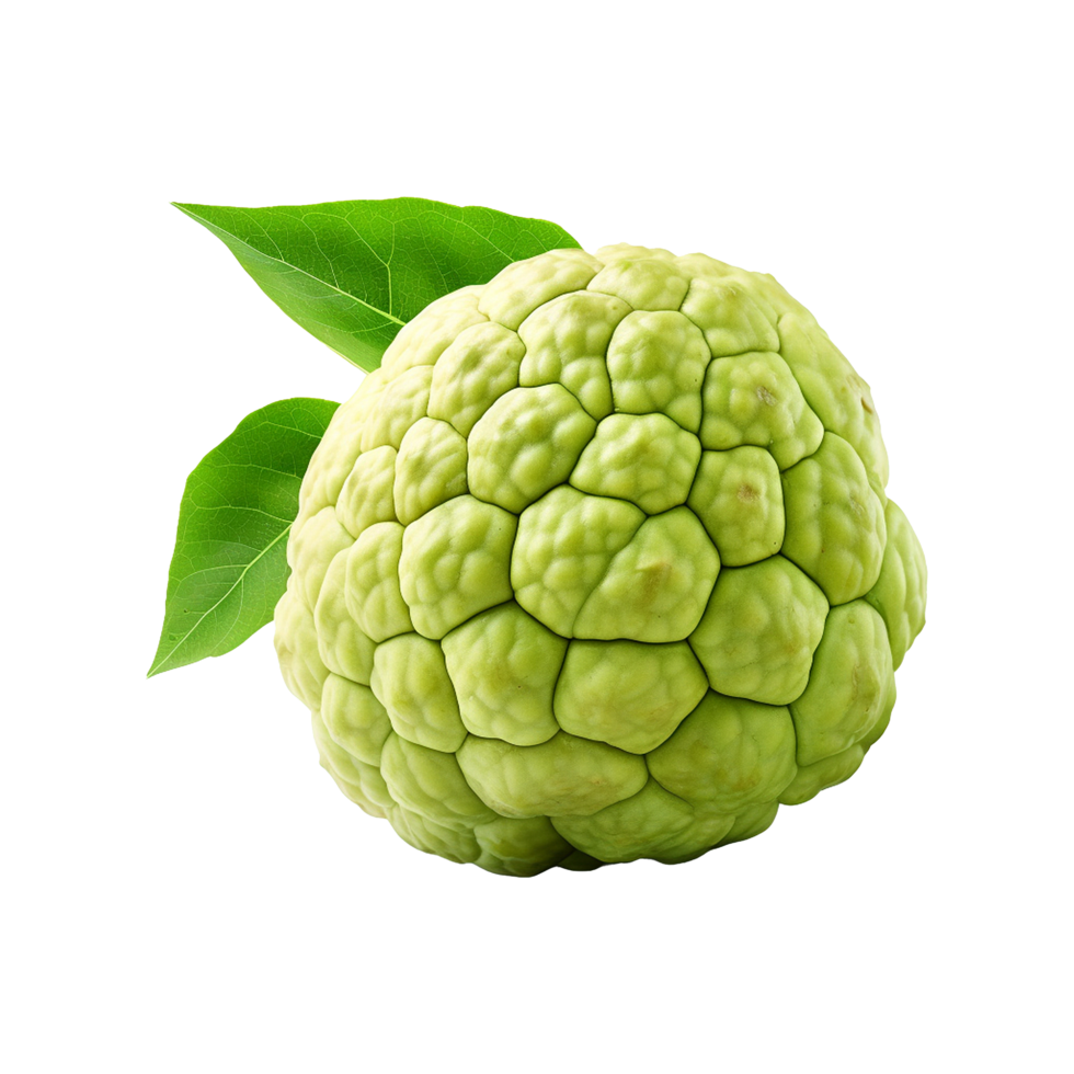 AI generated Sugar apple or custard apple png isolated on transparent background