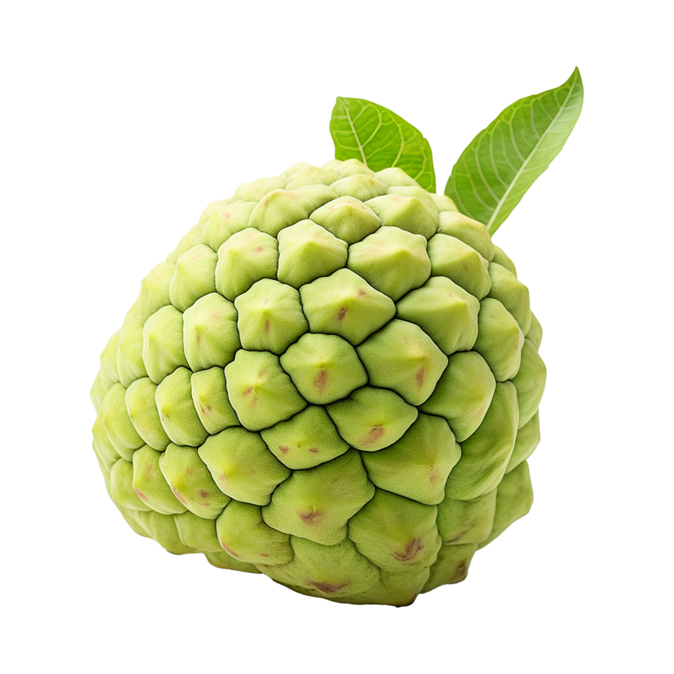 AI generated Sugar apple or custard apple png isolated on transparent background